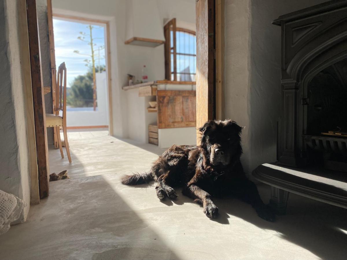 Villa Mi Marino Fernan Perez Bagian luar foto